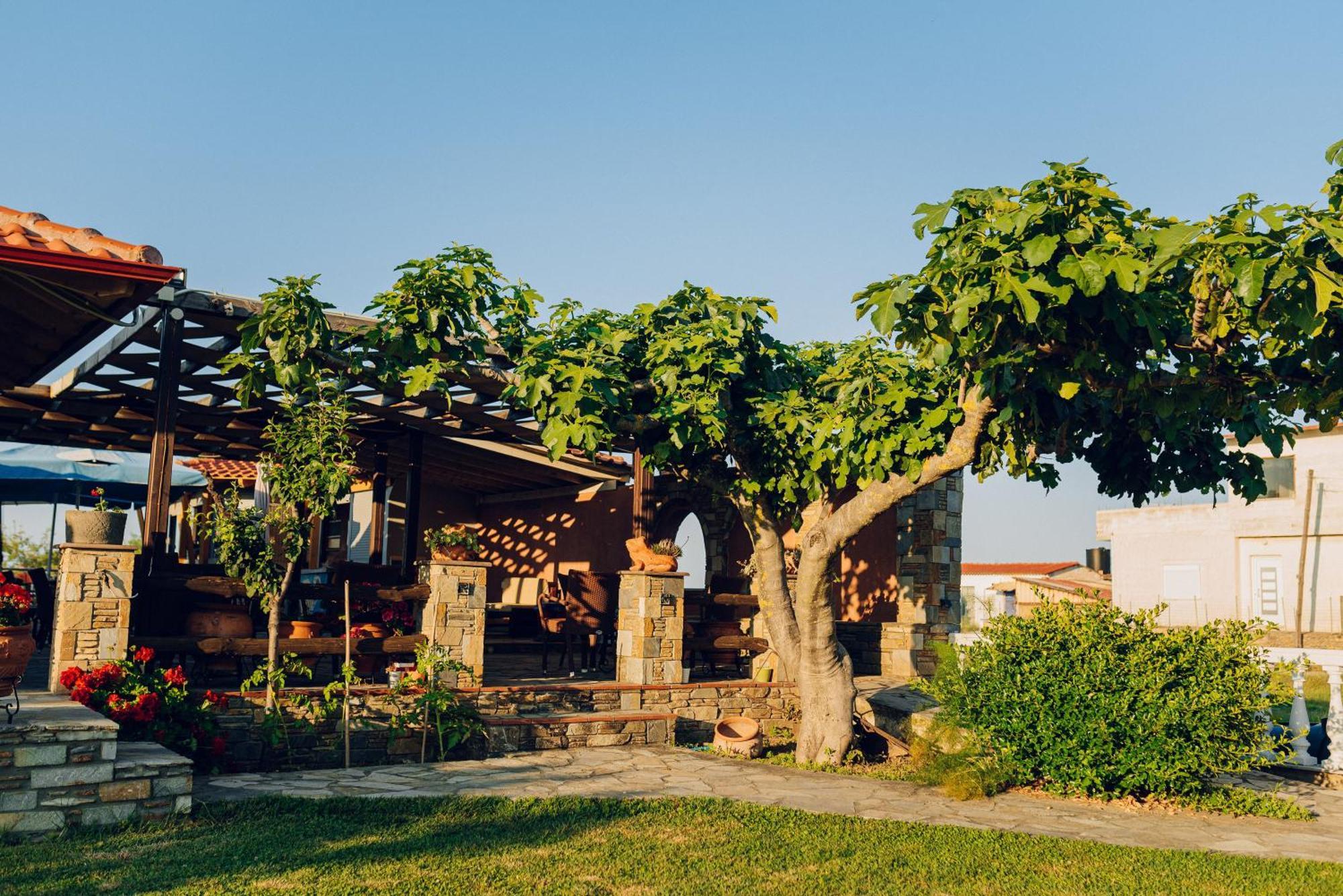 Villa Yianna Néa Meságkala المظهر الخارجي الصورة