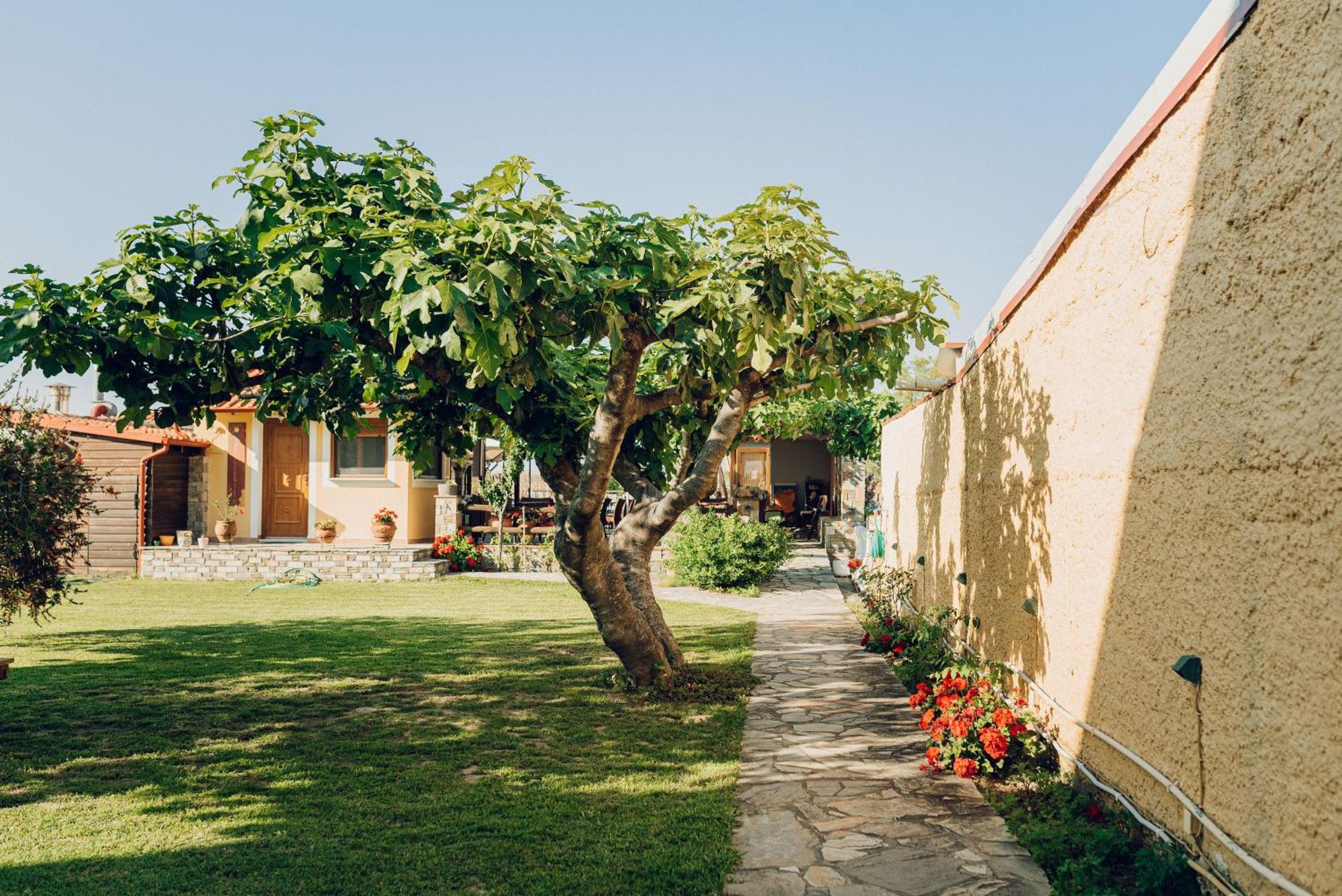 Villa Yianna Néa Meságkala المظهر الخارجي الصورة